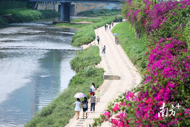     通訊員/受訪者 對方提供 供圖