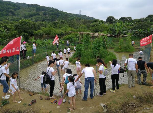 池塘捉魚