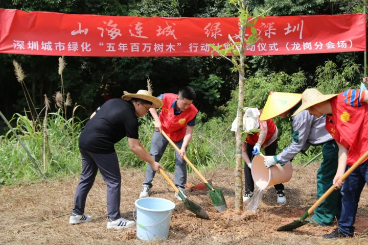 龍崗區(qū)開展深圳城市綠化“五年百萬樹木”行動計劃植樹活動.jpg