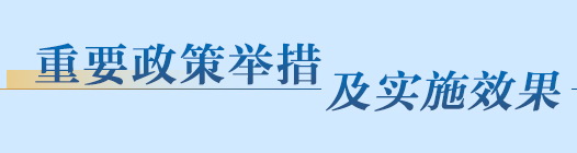 重要政策舉措及實(shí)施效果